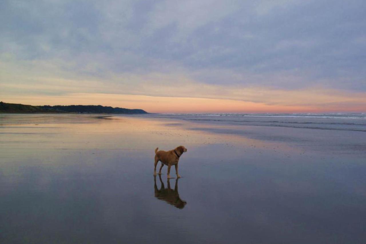 Willa Sea Perch Pacific Beach Zewnętrze zdjęcie